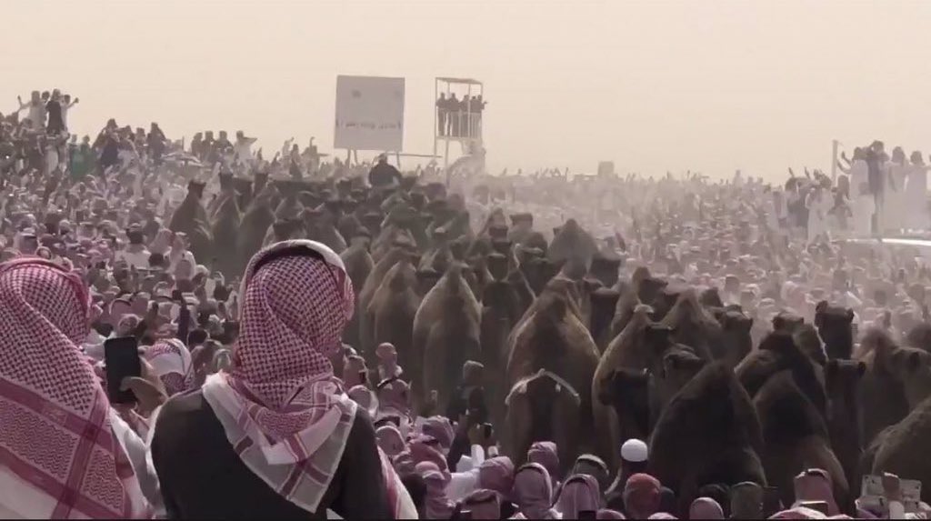 لاحان وقت الملاقا وصمخ الروس
وجينا على صيهد منيف من داني

نبطش على الخصم بطش الروس
ونندب على صيهد رماح شيباني

حنا عتيبه هل المجد والناموس
وفعل ًيجمل ماجانا النعم مجاني

وان كان غبنا وزانت مع الدبوس
يقدم ويلقى من مطير ديحاني 

#الدبوس 
 #زعل_الديحاني