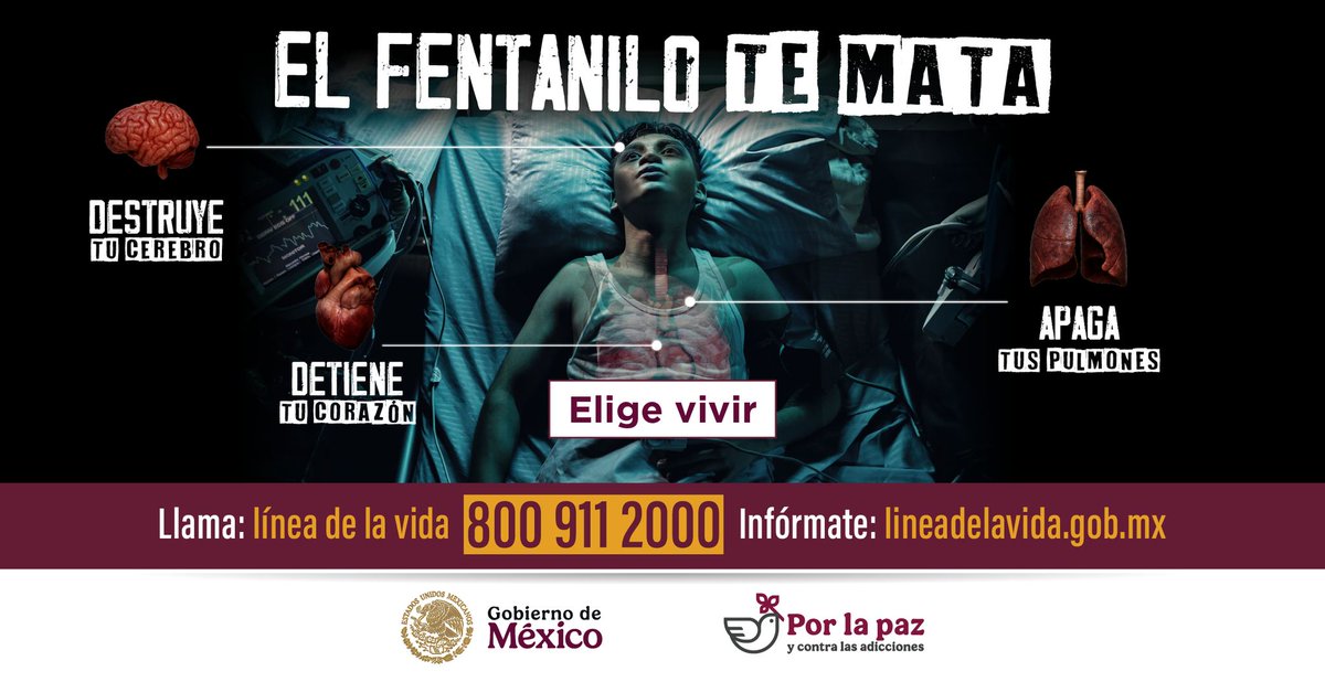 #ElFentaniloTeMata, destruye vidas y familias enteras. No seas parte de la estadística. 🪦💔
💚✨ ¡Elige vivir! Si tú o alguien que conoces necesita ayuda, comunícate a la #LíneaDeLaVida:
☎️ 800 911 2000
💻 lineadelavida.gob.mx
Siempre puedes empezar de nuevo. 🫂🕊️