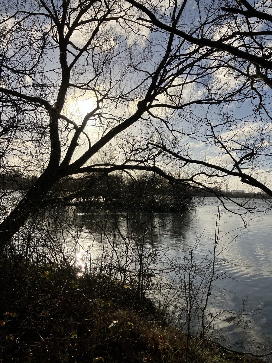 Lisa Sharples 🌳 tweet media