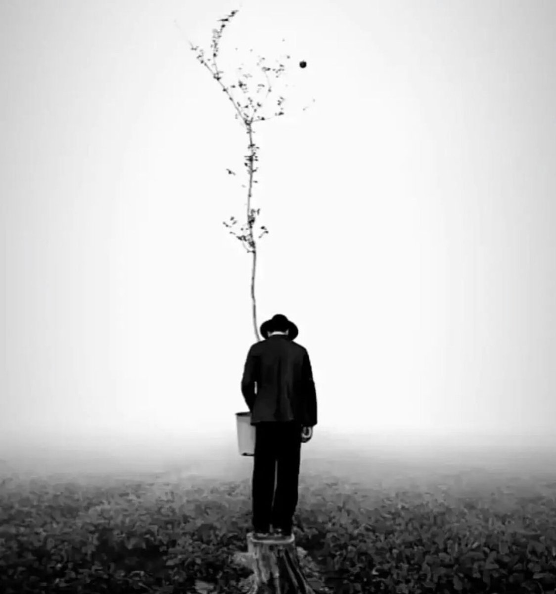 “tüm büyümeler konfor alanının 
   dışında gerçekleşir.

   konfor çürütür…”
   .