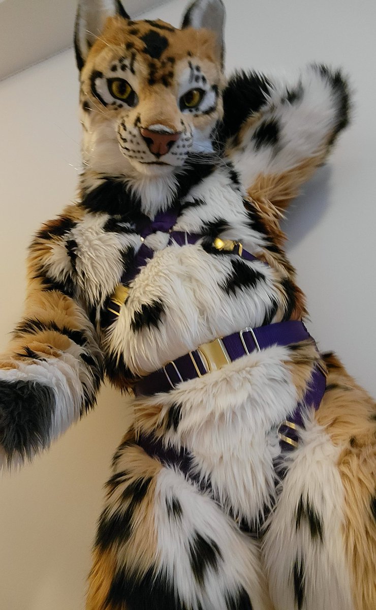 CatCandahan's tweet image. Merry Christmas! I wrapped you something 🎁