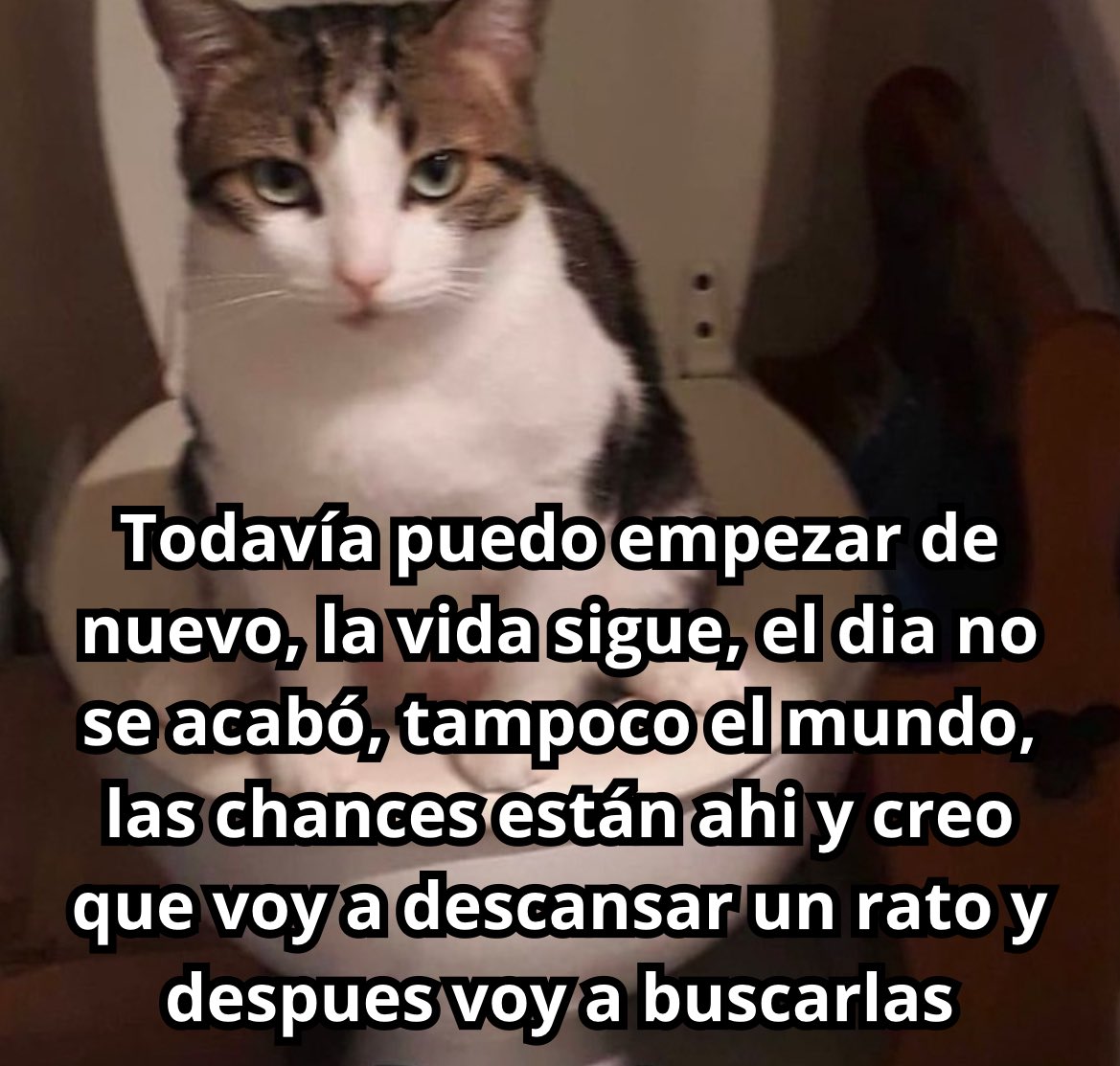 conoloracigarro's tweet photo. https://t.co/Btfj6SqBSh