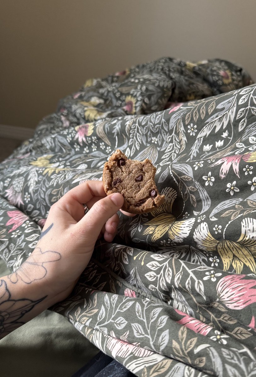 tessiconic's tweet image. 30 is spending Christmas alone while eating 4 cookies for breakfast in bed #bliss