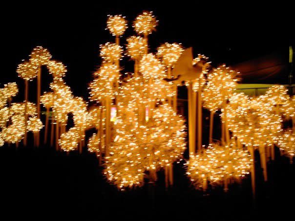 Stephen Christ tweet media