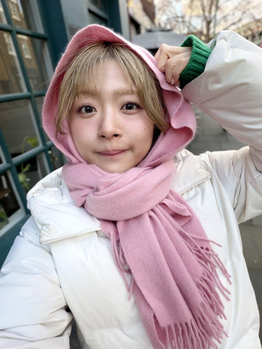 singalot_AM's tweet image. おはようございます🌞