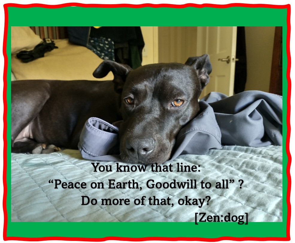 David (Here4theDumpsterFire) Stanley (@dstan58) on Twitter photo 