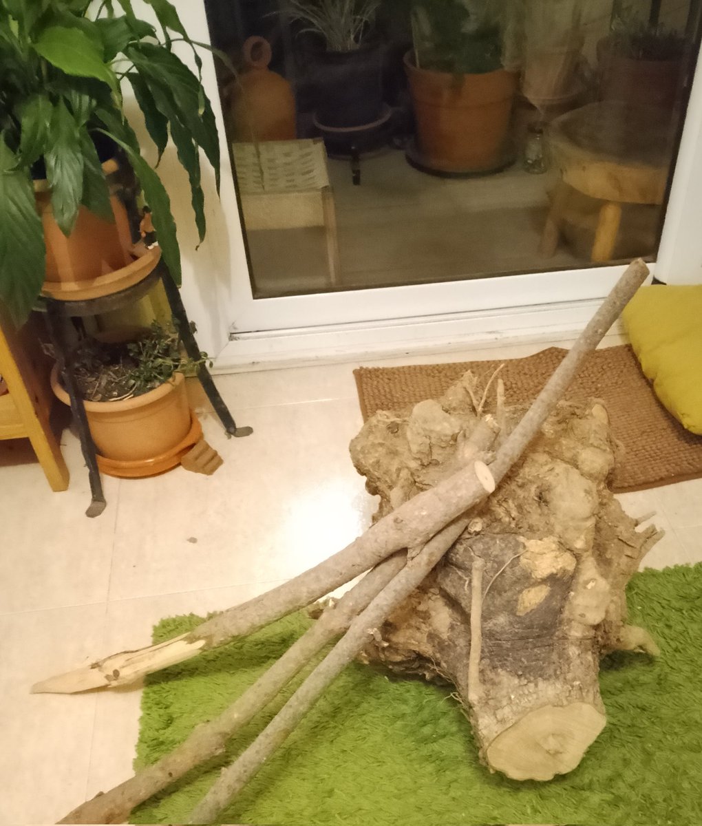 sotabosc tweet media