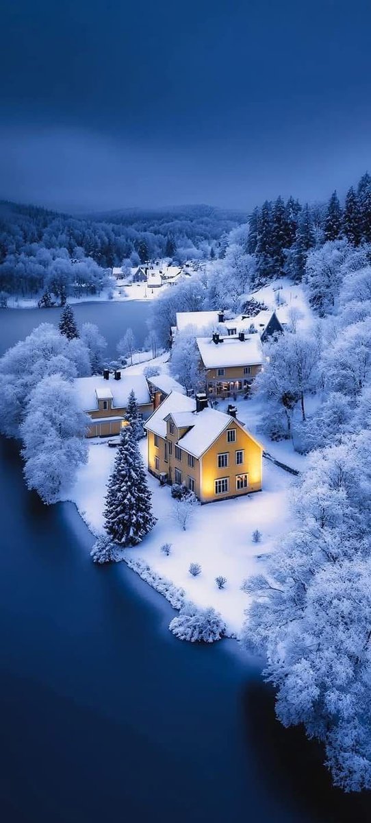 Gentleman (@gentleman_1965) on Twitter photo 