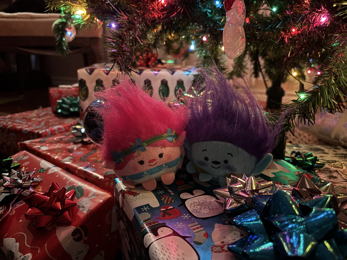 Merry Christmas from Poppy and Branch🎄💗 #trollstwt #broppy