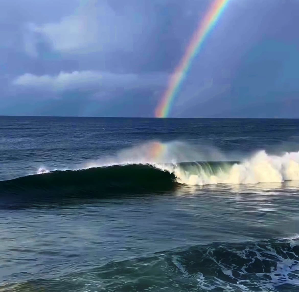 Ian Votteri tweet media