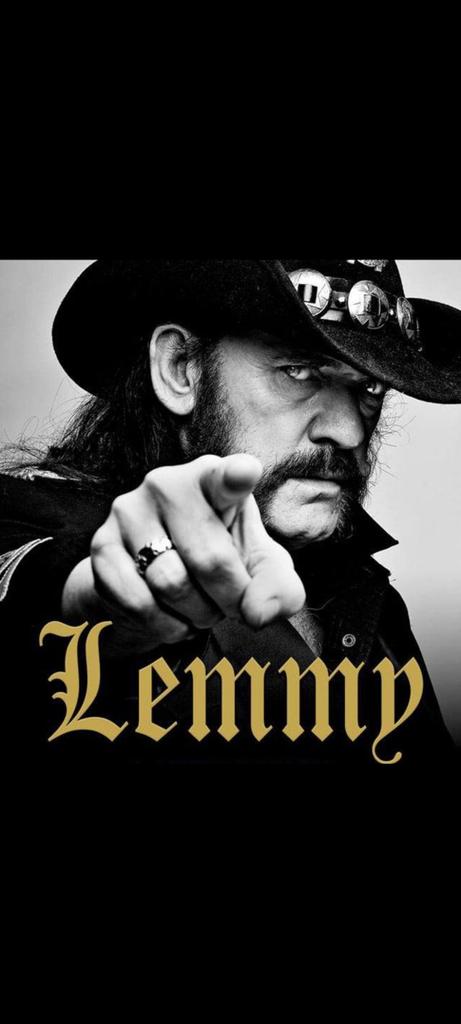 Fabio Gonçalves tweet media