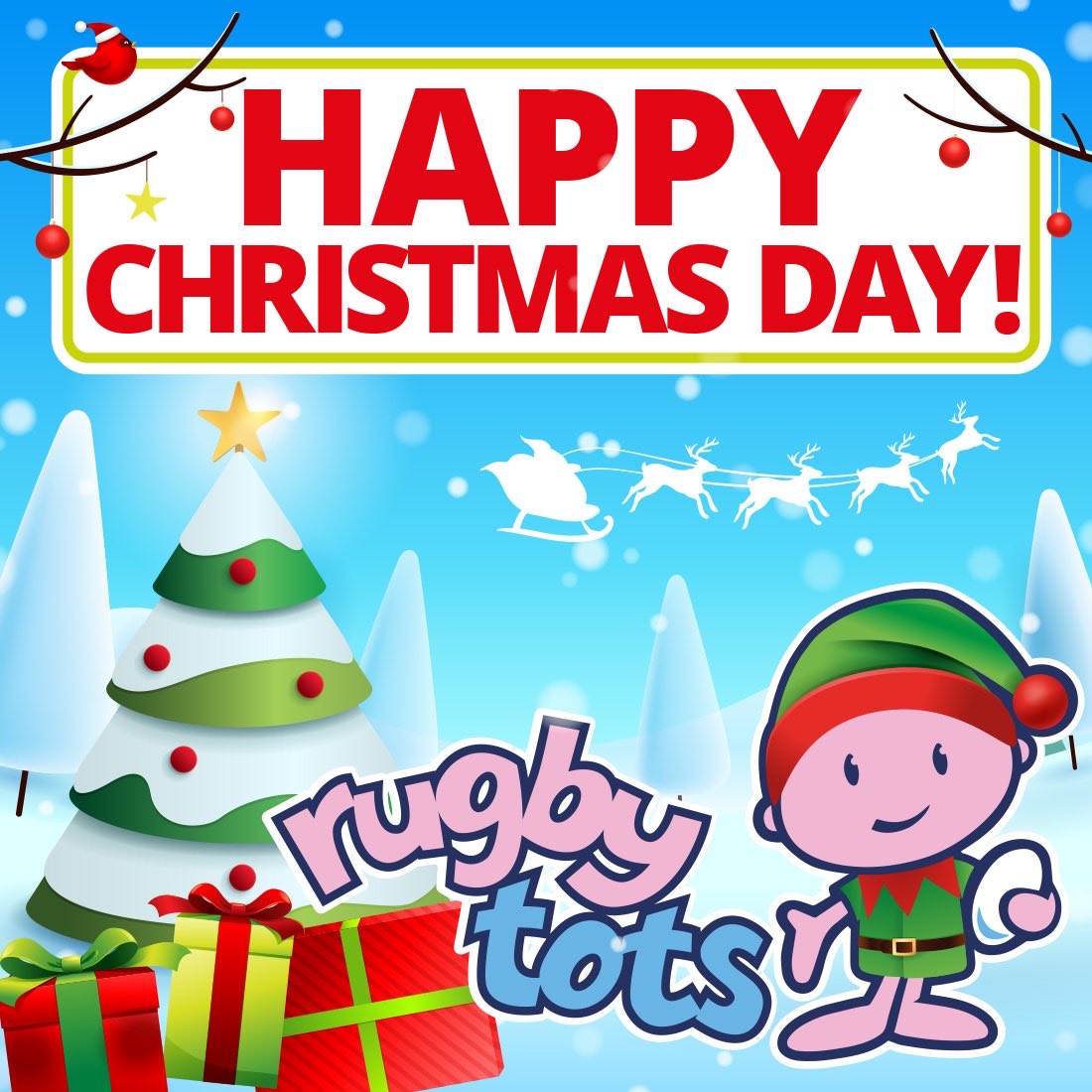 RUGBYTOTS SOUTH AFRICA 🇿🇦 tweet media