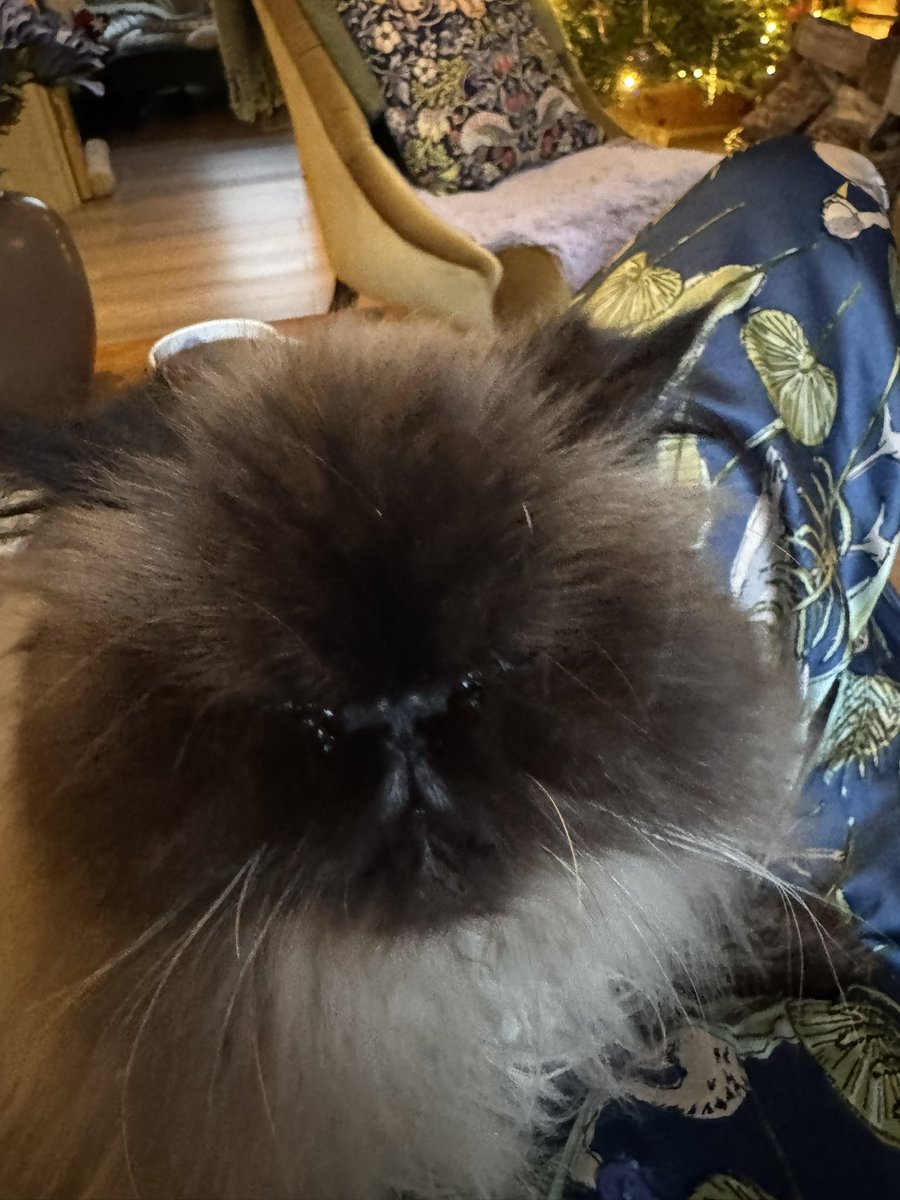 Jennifer Deighton 🍊 tweet media