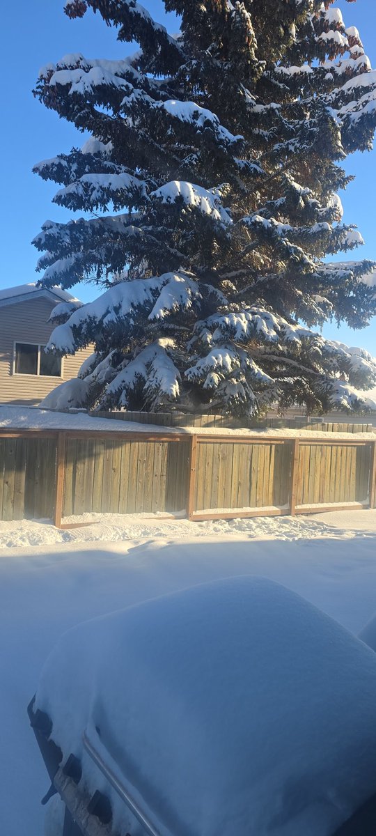 kpboudreau74's tweet photo. @Concern70732755 Merry Christmas Athabasca https://t.co/zYNTHIUnox