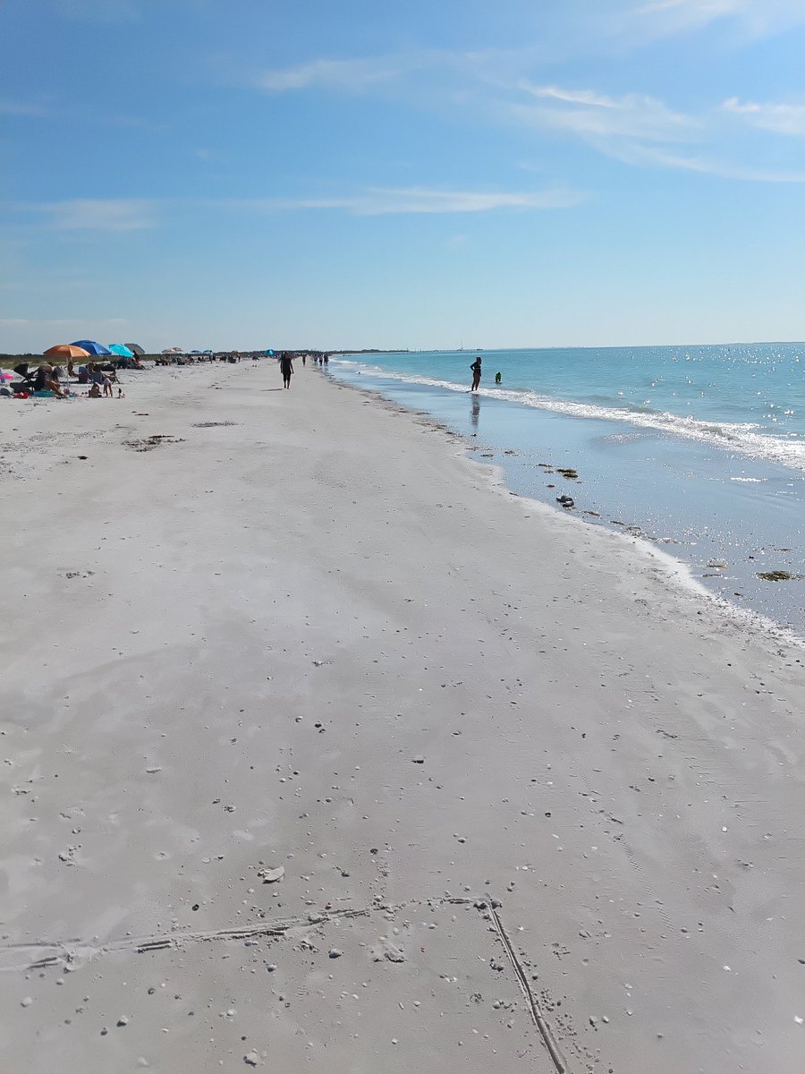 AdamSFulton1982's tweet photo. At,, Fort De Soto Beach, Florida!! Adam Fulton and David Fulton!! Pretty Awesome!! December 25 th, 2025!!🌴🌴🌴🌴🌴🌴🌴🌴🌴🌴 https://t.co/jUQZnrJpVT