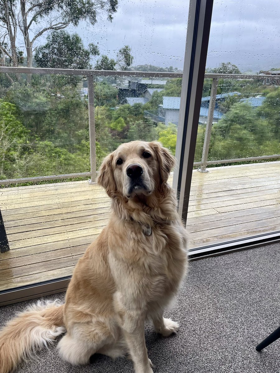 MitziiBitzii's tweet photo. Greetings from a rainy morning in📍New Zealand🇳🇿🎄 
#NFLonNetflix #NFLChristmas https://t.co/XDbCOdUNKY