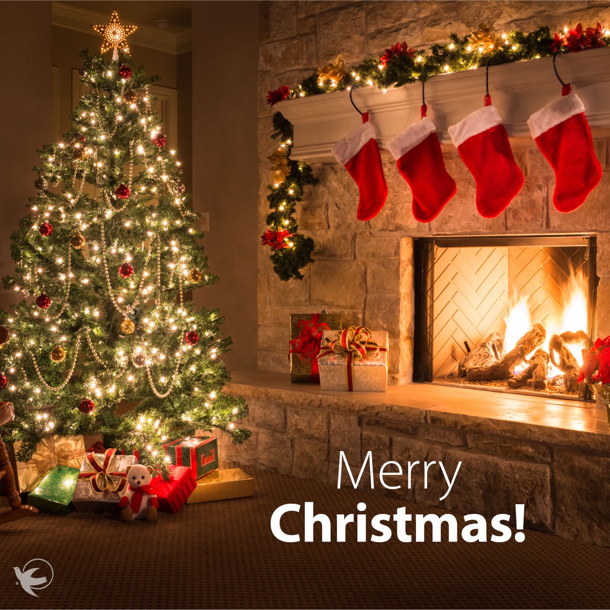 AngelsSpokane's tweet photo. Merry Christmas! 🎄✨

Wishing you a cozy Christmas filled with family, friends, and meaningful moments together. A heartfelt thank you to all caregivers—your compassion and special touch truly make each day brighter for the lives you care for. ❤️ https://t.co/pKKBlubQMb