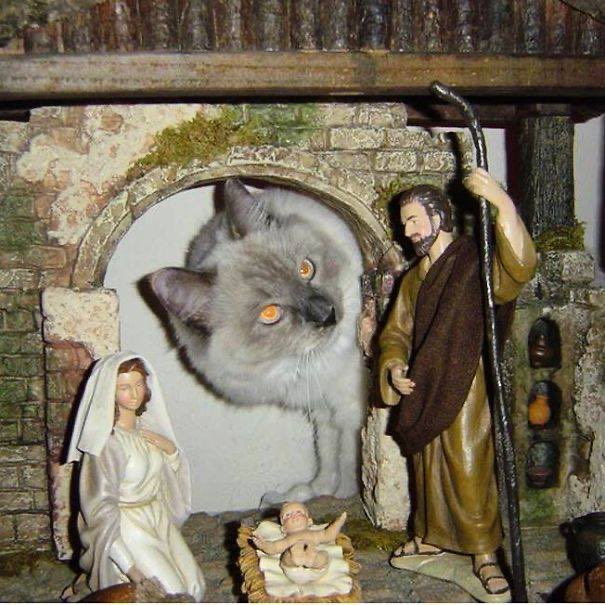 (And now, a Holidays Classic:) “Are you the one who multiplies fishes?”