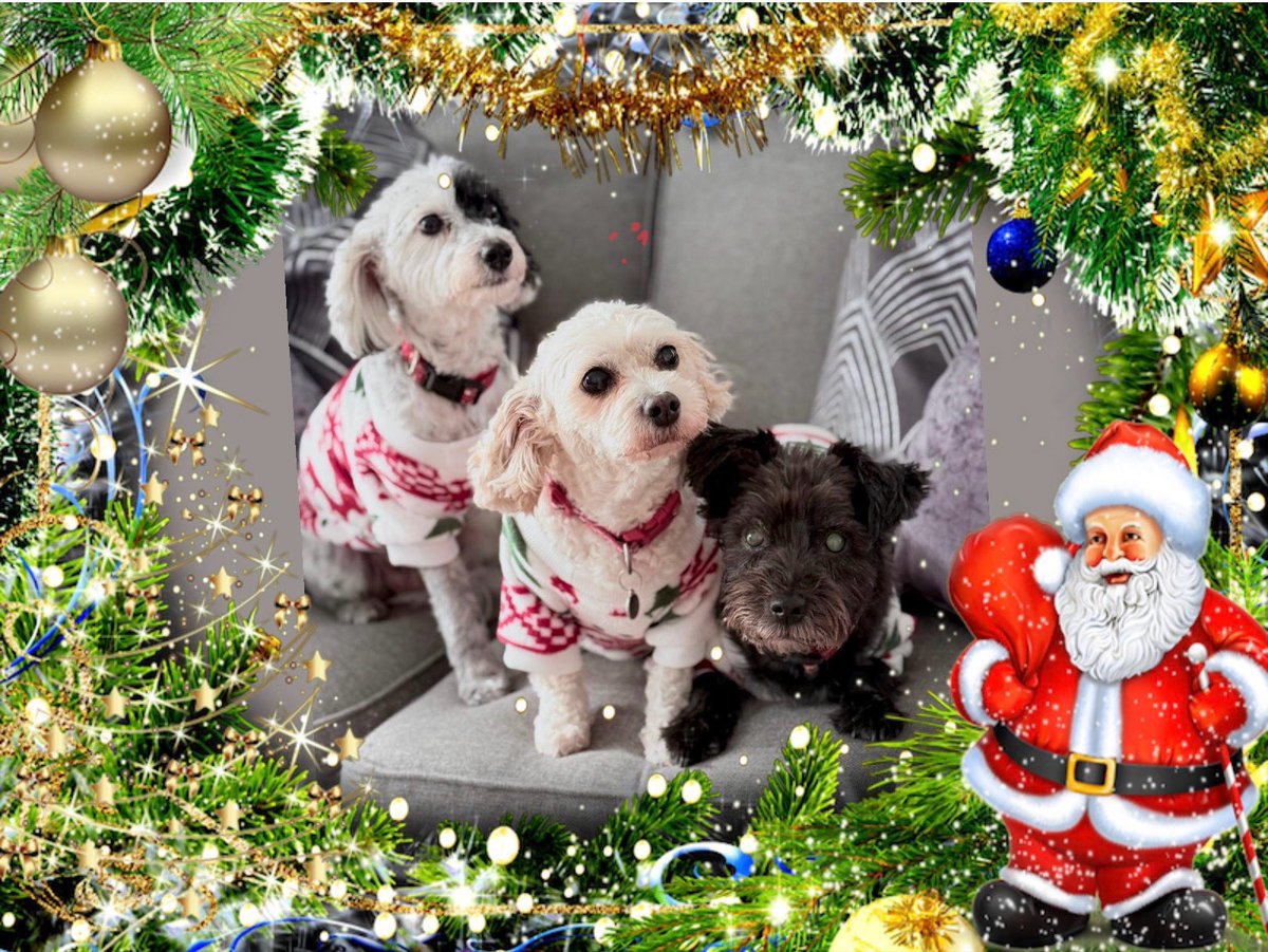 dollystar15's tweet photo. @JayMcGuiness Merry Christmas Jay enjoy your family time 🎄🎄🧑‍🎄🎁xx https://t.co/59YdQVUyLP