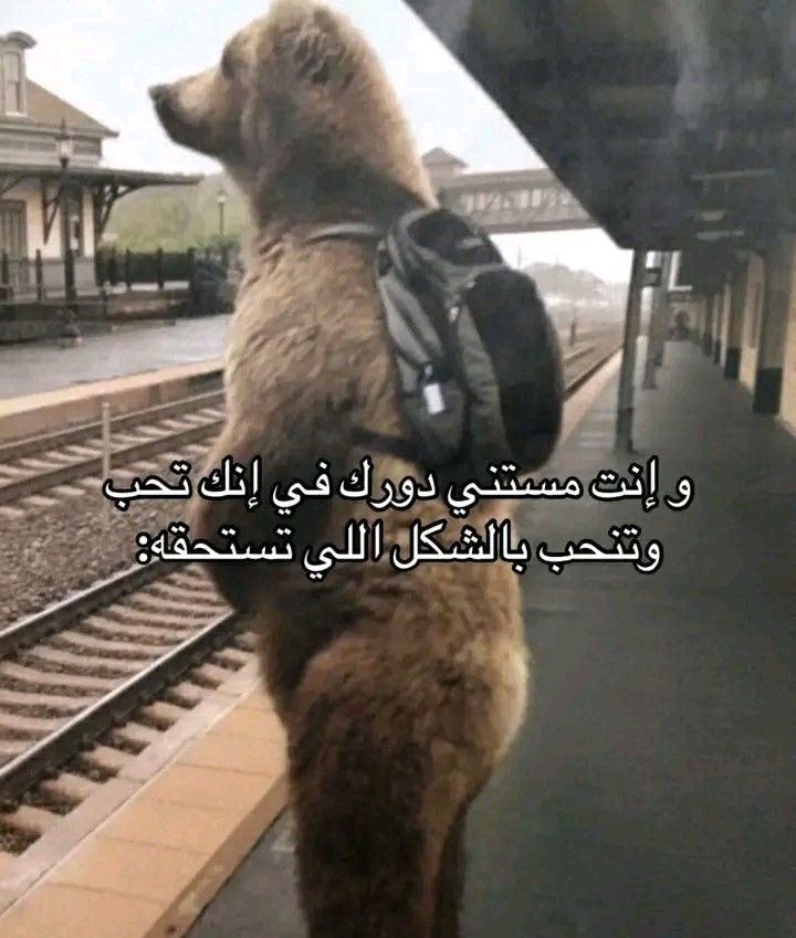 Marwanyonss's tweet image. 