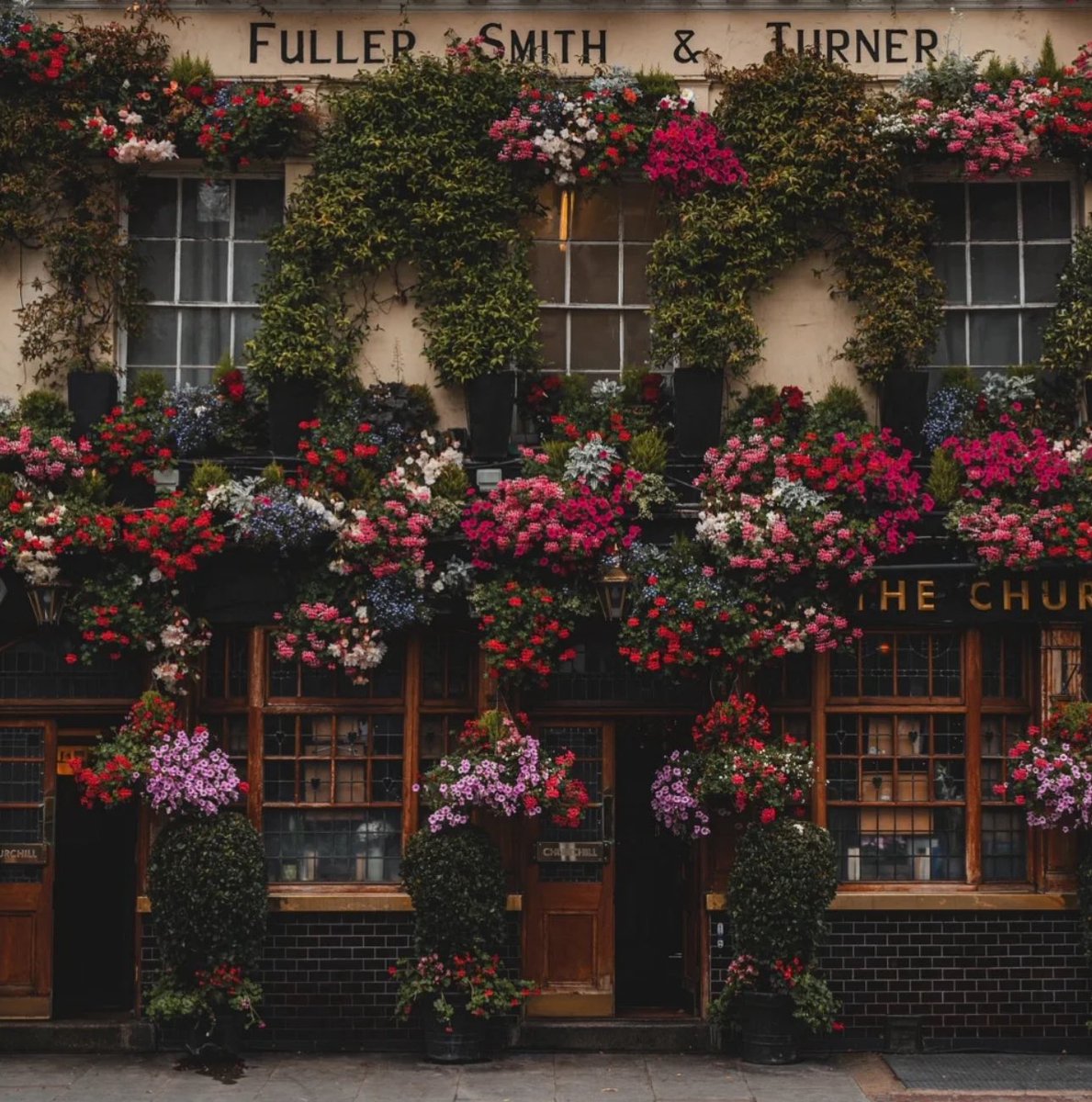 1leio's tweet image. 