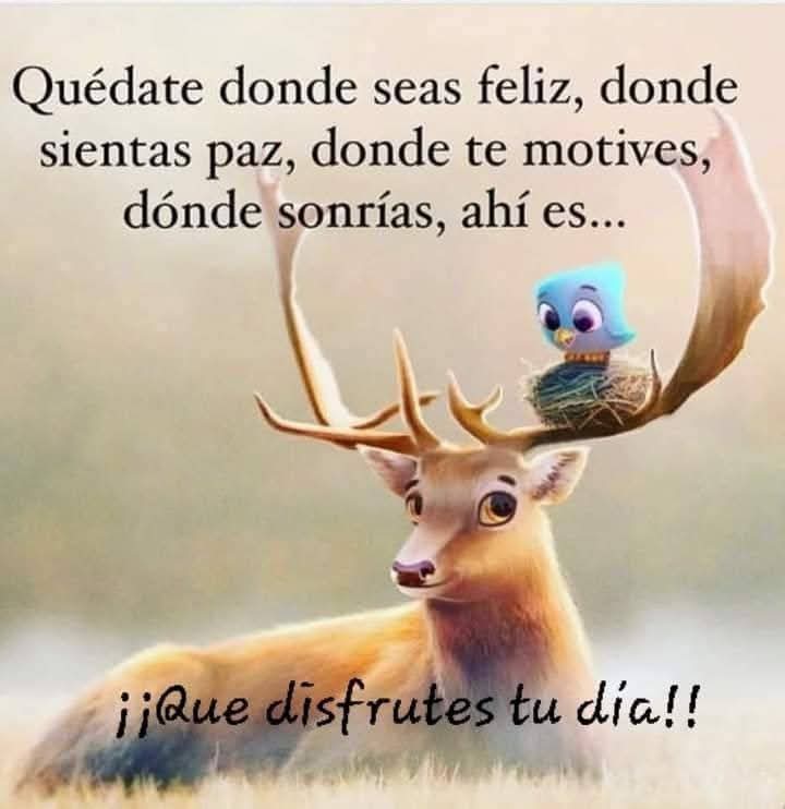 Nelitaguz. tweet media