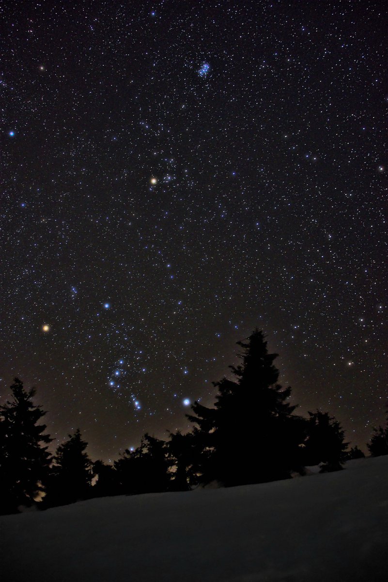 Amante de las estrellas