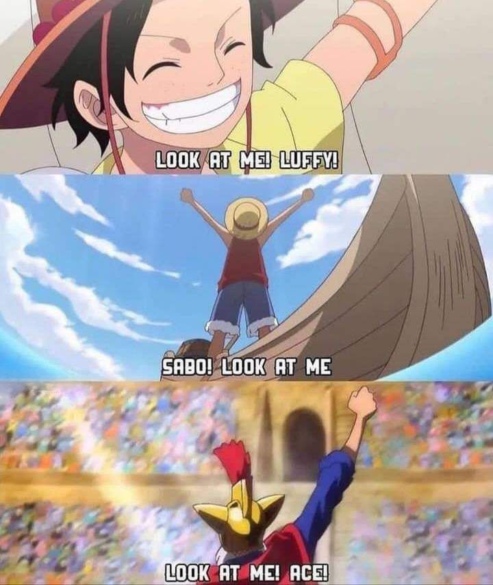 strawhats's tweet image. Brothers ❤️