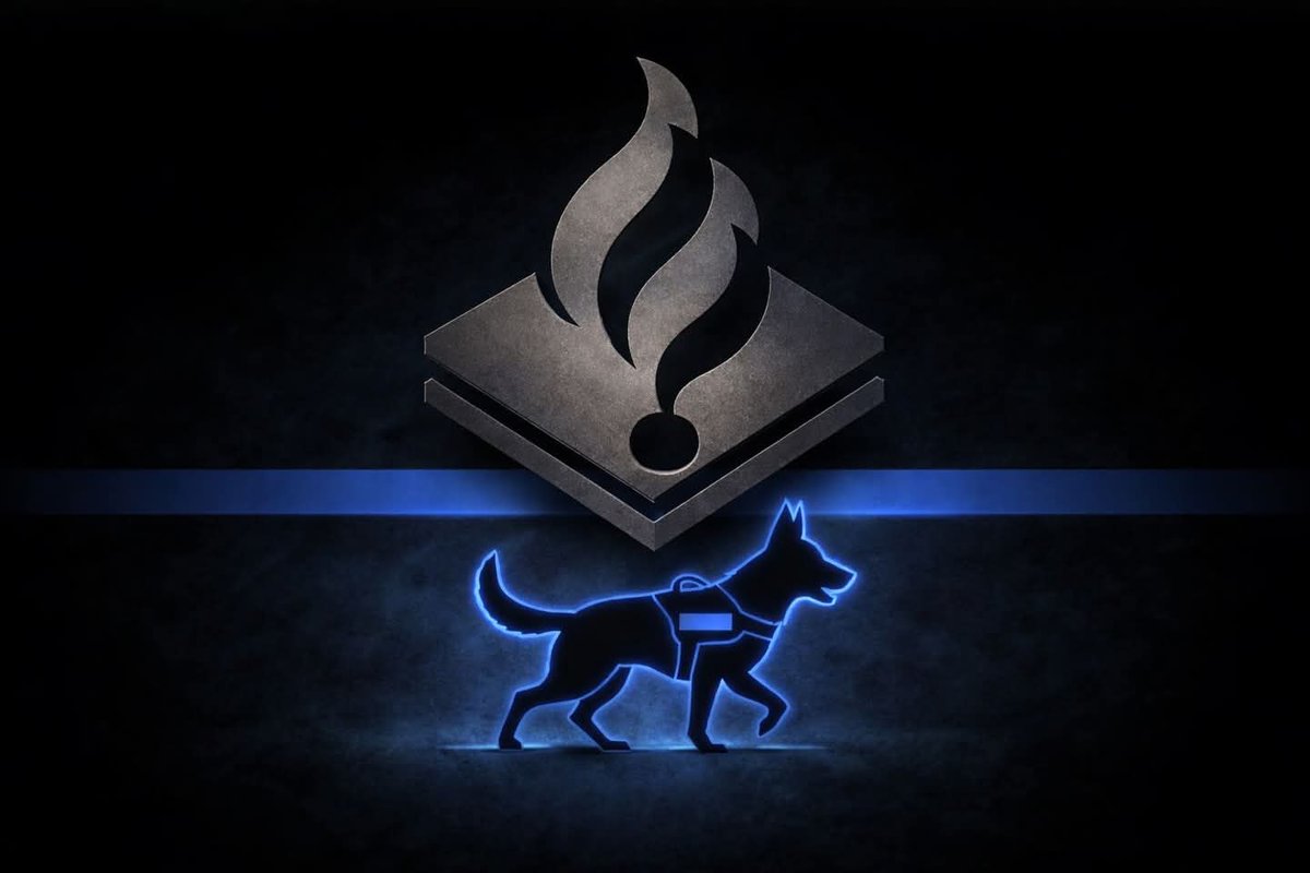 In gedachten bij iedereen die de overleden collega #hondengeleider lief had. Intens heftig. Door een noodlottig ongeval in prive tijd kwam de politieman om het leven. Sterkte iedereen en gecondoleerd. ⚫🔵⚫
#politie #RIP #limburg