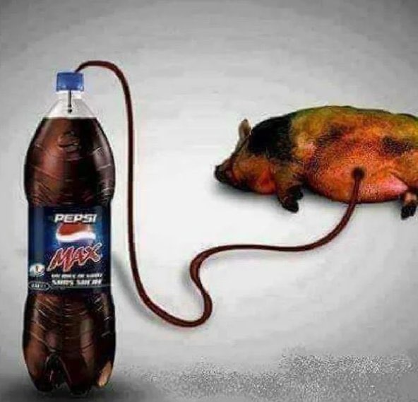 jinniepixie's tweet image. em 25 anos dá pra eu engordar mt ainda vou estar me privando