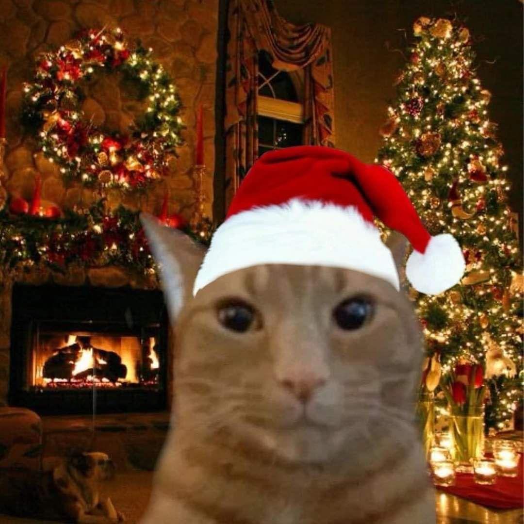 AdrisusGamer's tweet photo. @EsVandal Feliz navidad! https://t.co/NvOsrM4PLv