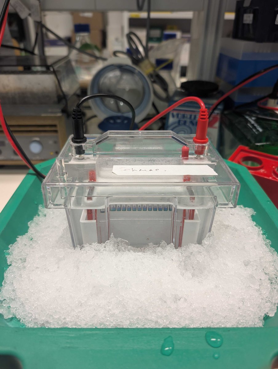 Vasishta Polisetty tweet media