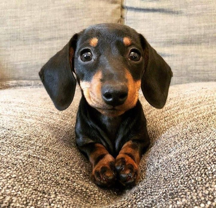 ᅠ✮ᅠ·ᅠ𝕊𝐇𝐈𝐆𝐄𝐑𝐔𓈒ᅠ tweet media