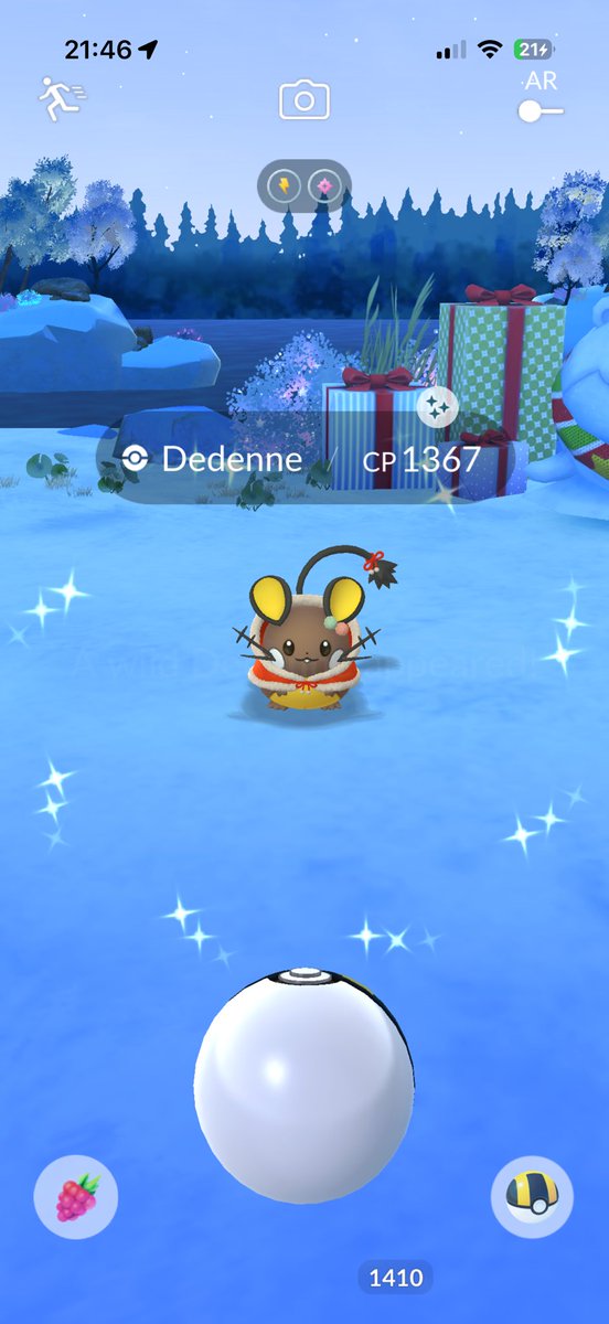 Little Christmas gift 🐹🥰🎄