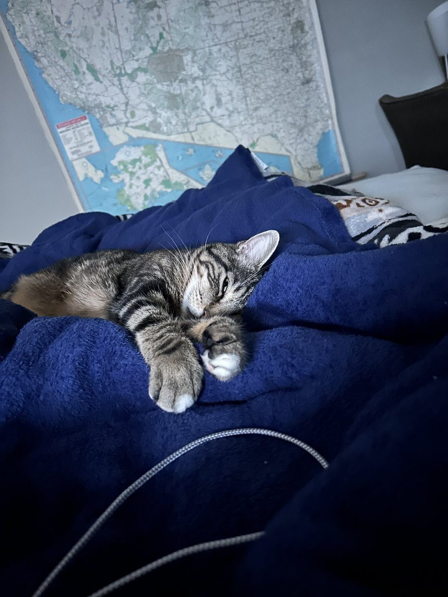 kalimoding's tweet image. merry christmas everynyan