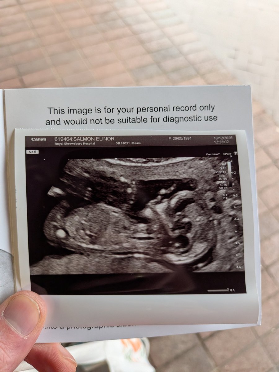 SwankyFisherMan 🐟💫 tweet media