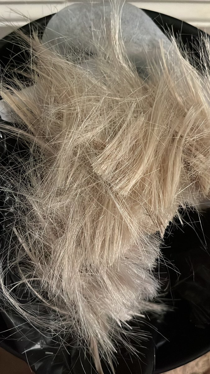 withoutaday's tweet image. My hair was taking too long to blow dry so I just fuckign chopped it off 😭