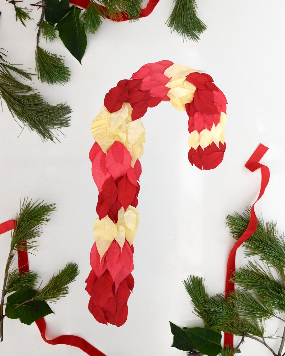 Merry Christmas from Mulhalls 🎅 

We're closed today, but we'll be back tomorrow with our new winter hours ➜ 9a to 6p ❄️

#mymulhalls #merrychristmas #holidayseason #christmasatmulhalls #omahaholidays #grateful #holidaytraditions