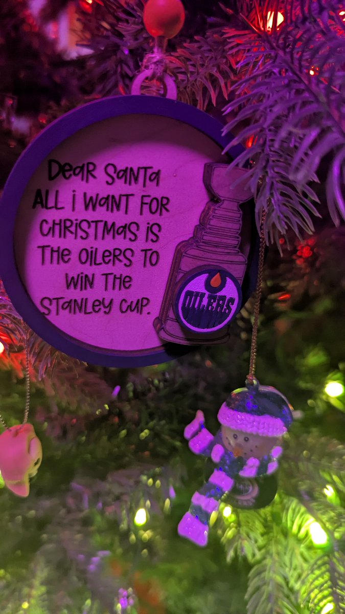 DeanVinceVO's tweet photo. Some of my favourite ornaments including two new ones this year, a microphone and an Oilers one saying all I want is for them you win the Stanley Cup. Merry Christmas! #merrychristmas🎄 #ChristmasOrnaments #LetsGoOilers #volife https://t.co/DjZgfK0CtM