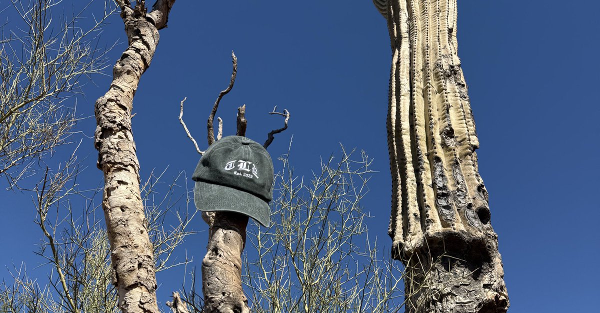 Samuel Schaefer tweet media