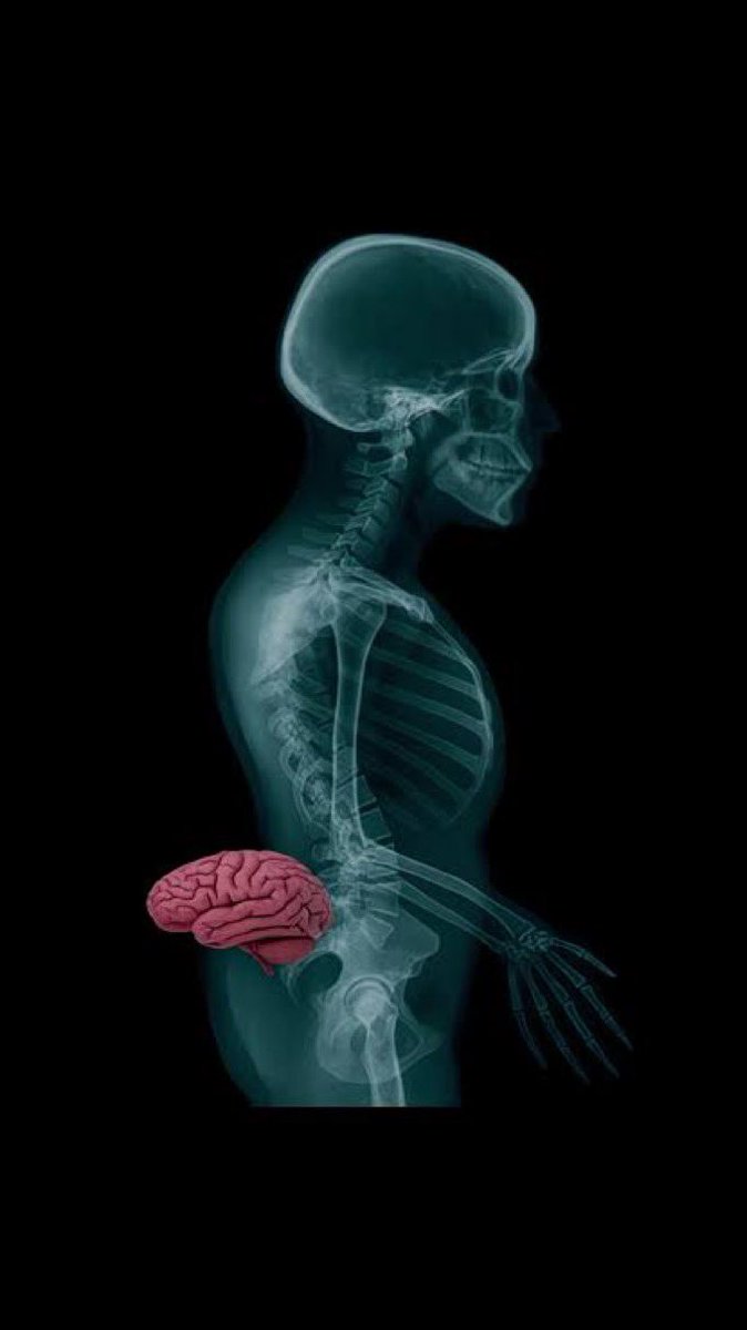 Captain Zarkonyus🚀 tweet media