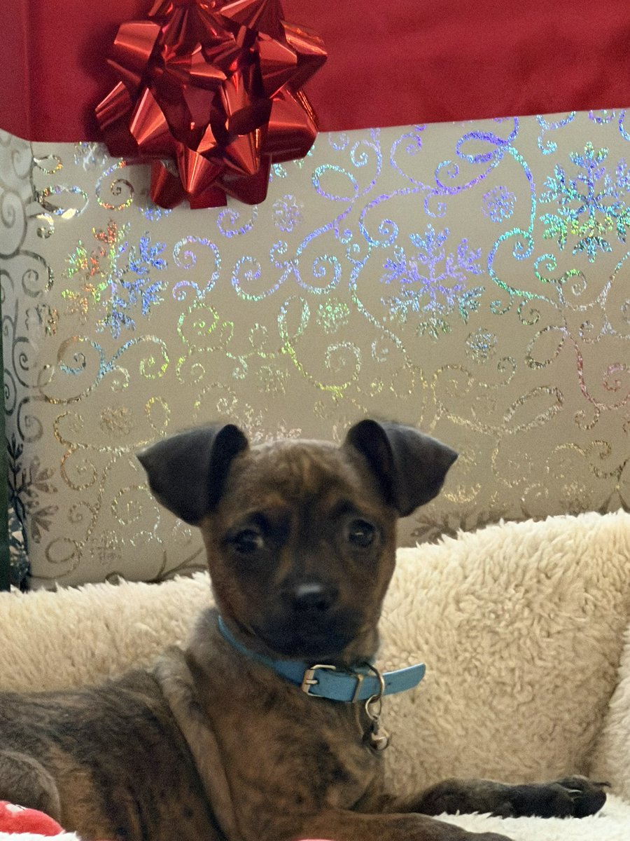 Savanna Robinette tweet media