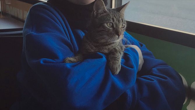 "Allah, niyeti iyi olanın bahçesini talan ettirmez.."