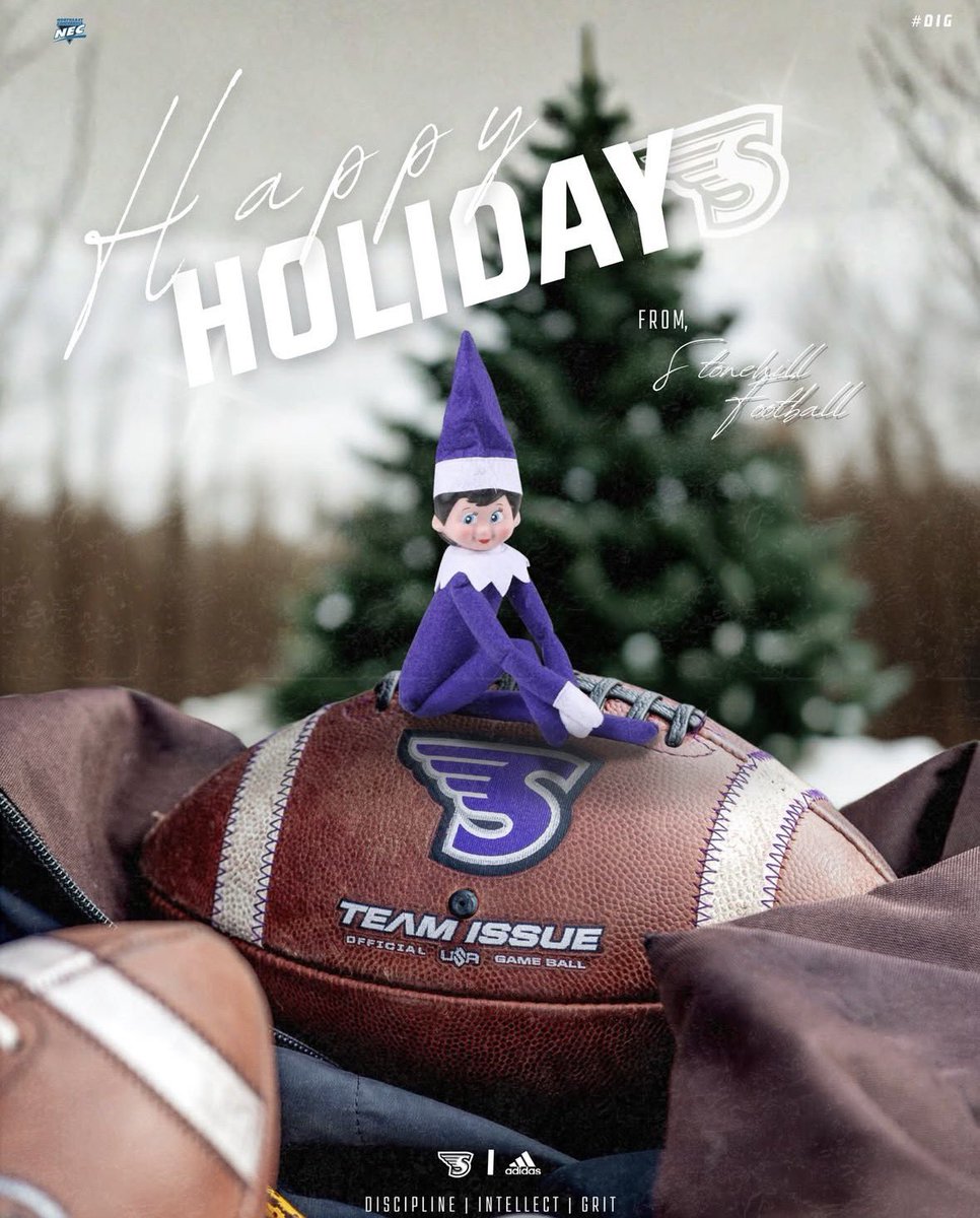 Stonehill Football #DIG tweet media