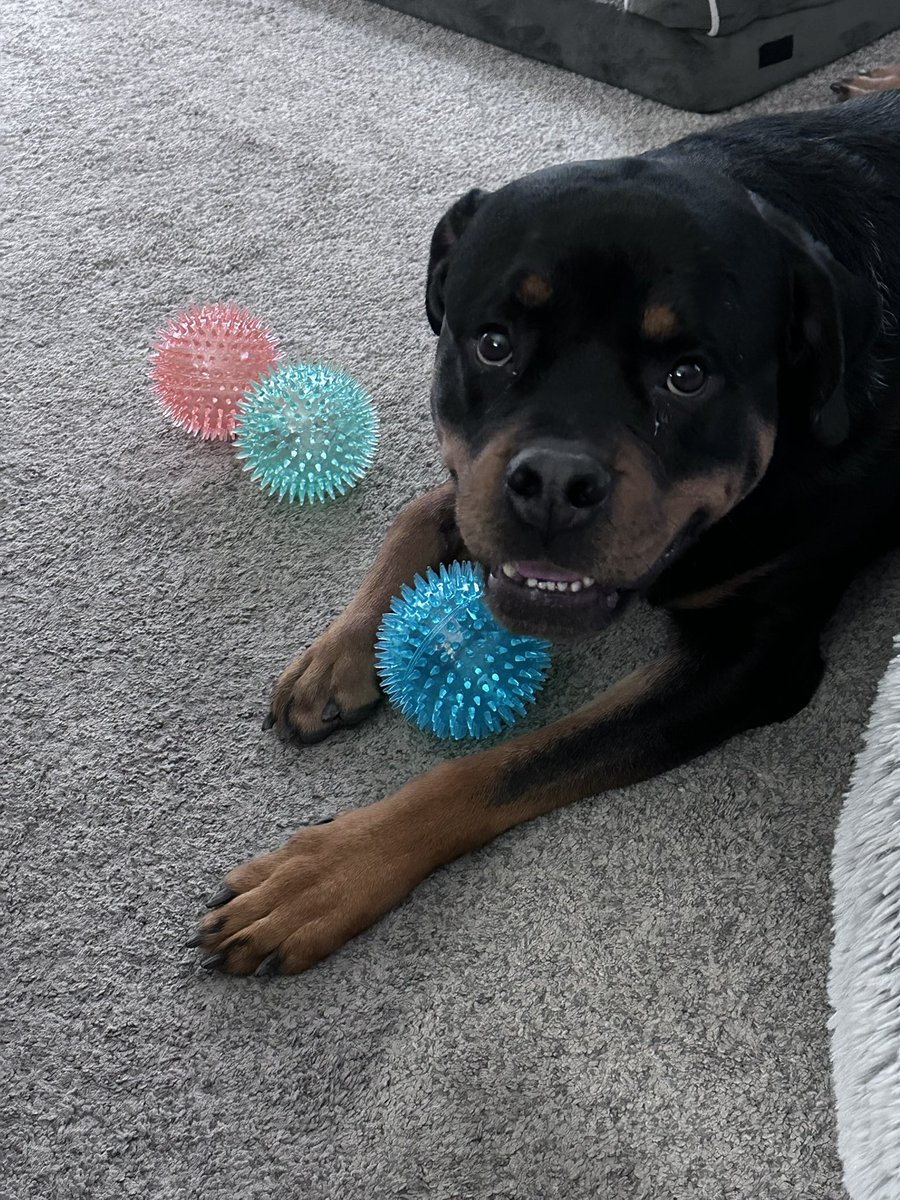 baseballrick tweet media