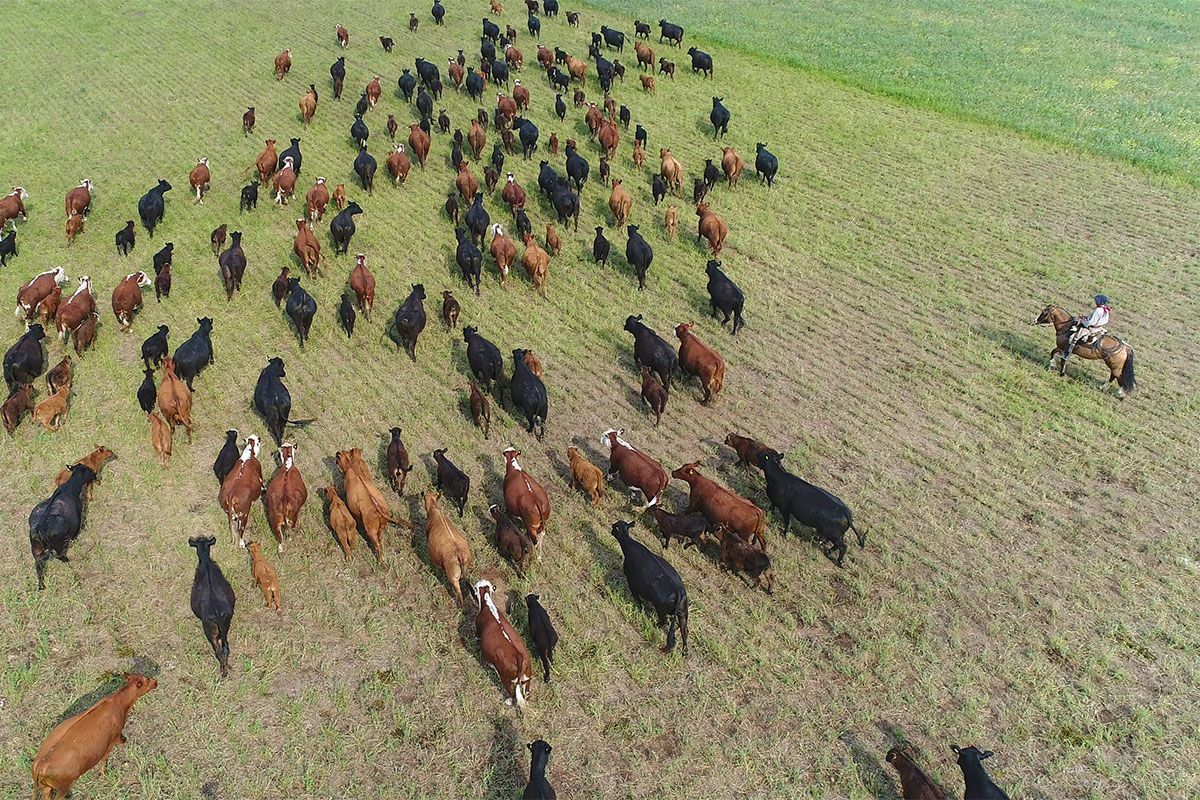🟢 Metano: un problema que impacta en el ambiente y la salud, pero sin lugar en la agenda política del país.

✍ <a href="/Soyelpapadeleon/">Gastón Rodríguez</a> | buff.ly/Ke4wtky