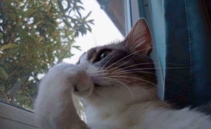 ghostoyevskii's tweet image. daydreaming yaparken dahi bazı seylere ihtimal verememek