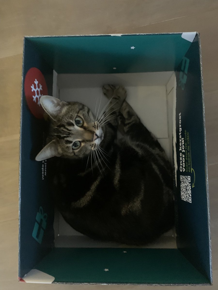 Avery🏳️‍⚧️ tweet media