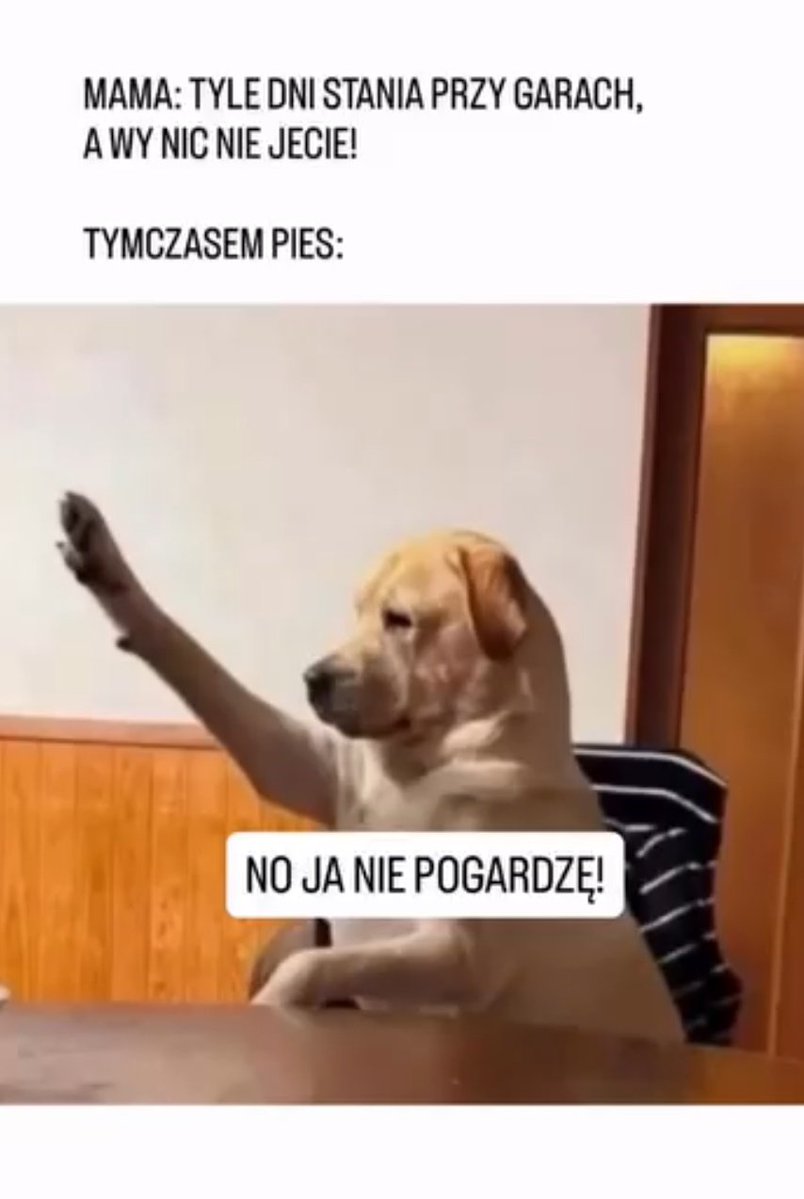 magdalenamisia1's tweet image. 