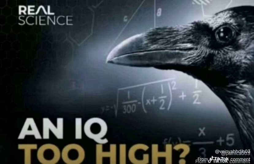 icantquant's tweet image. I have been seeing this image on every single comment section on TikTok. It's funny and I think it would be a good suit for CT.

$IQ